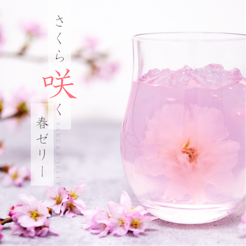 期間限定】桜＆苺ゼリー(6個入り）化粧箱入り